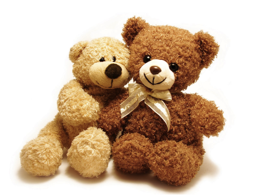 2 teddy bears side by side